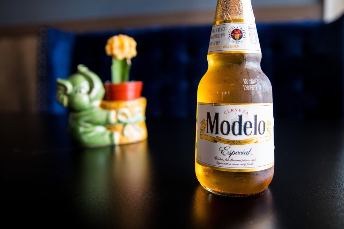 Bottle of Modelo beer